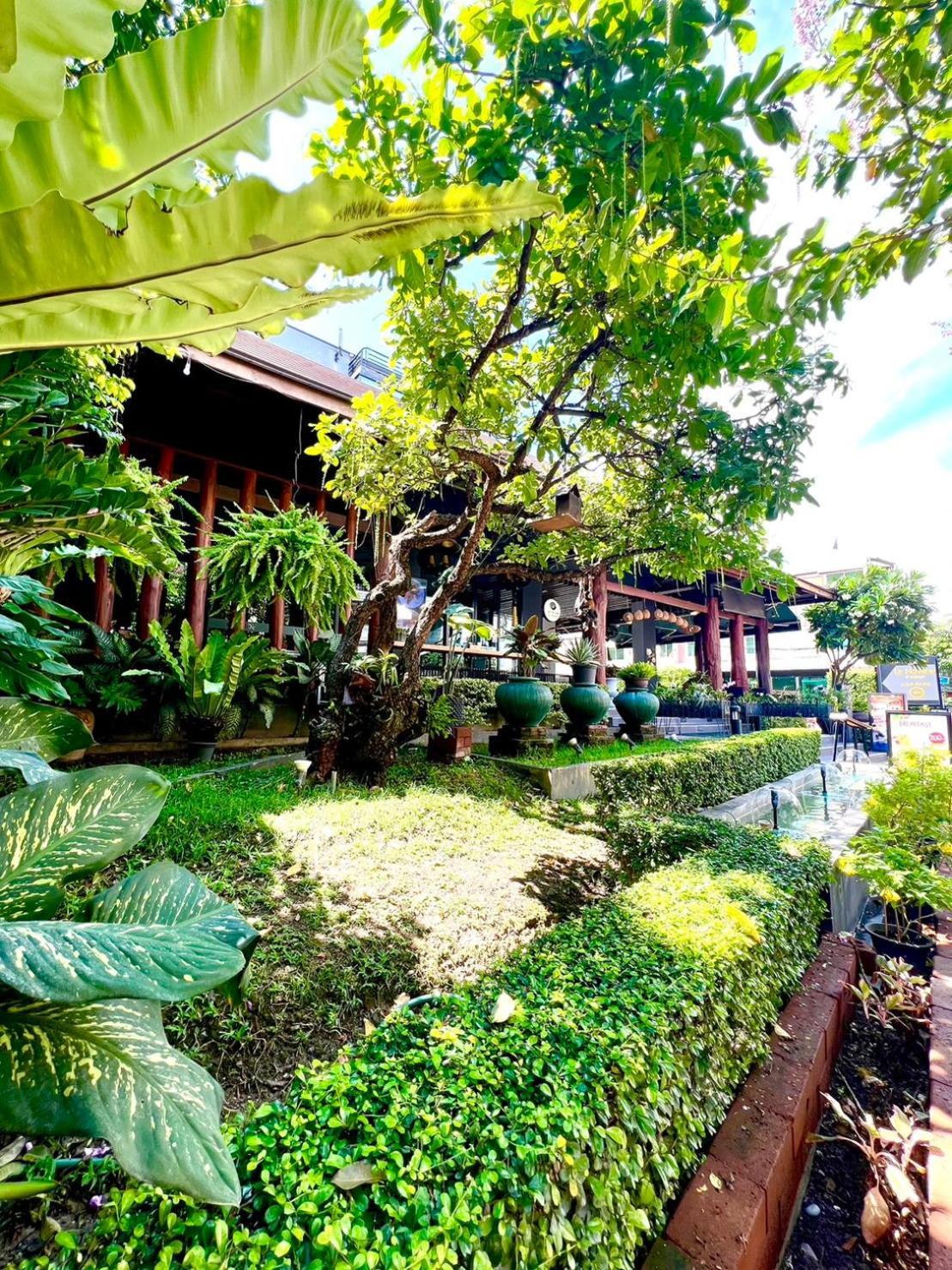 Le Naview @Prasingh Hotel Chiang Mai Bagian luar foto